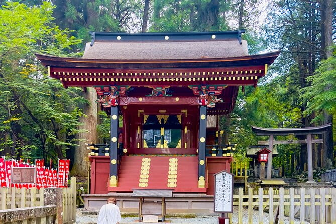 Mt. Fuji & Cherry Blossom Day Tour With English Speaking Driver - Optional Lake Kawaguchiko Speedboat Ride