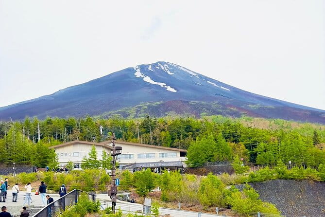 Mt. Fuji Cherry Blossom One Day Private Tour With Pickup - Key Points