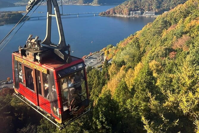 Mt. Fuji Cherry Blossom One Day Private Tour With Pickup - Accessibility