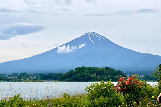 Mt. Fuji Cherry Blossom One Day Private Tour With Pickup - What to Expect
