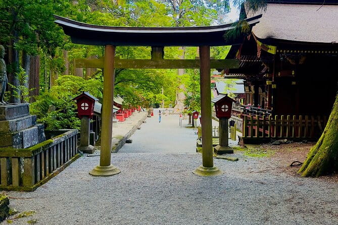 Mt. Fuji Cherry Blossom One Day Private Tour With Pickup - Recommended Attire