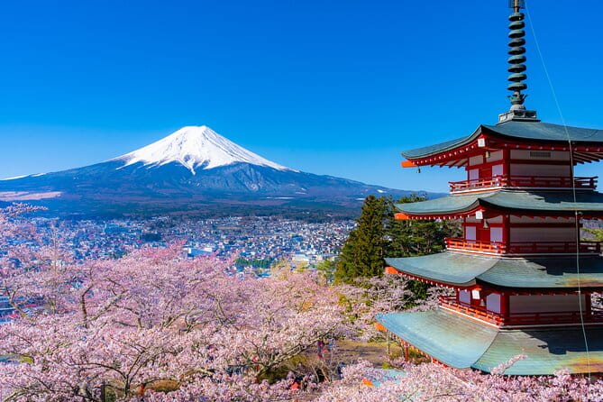 Mt. Fuji Cherry Blossom One Day Tour From Tokyo - Highlights