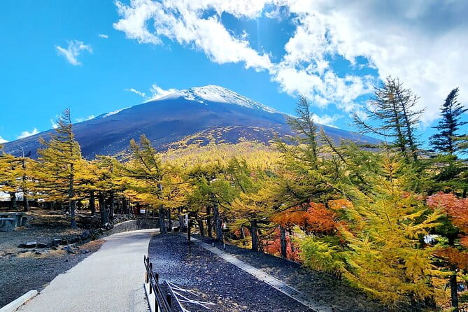 Mt Fuji Day Tour by Car With English Speaking Driver - Driver and Support