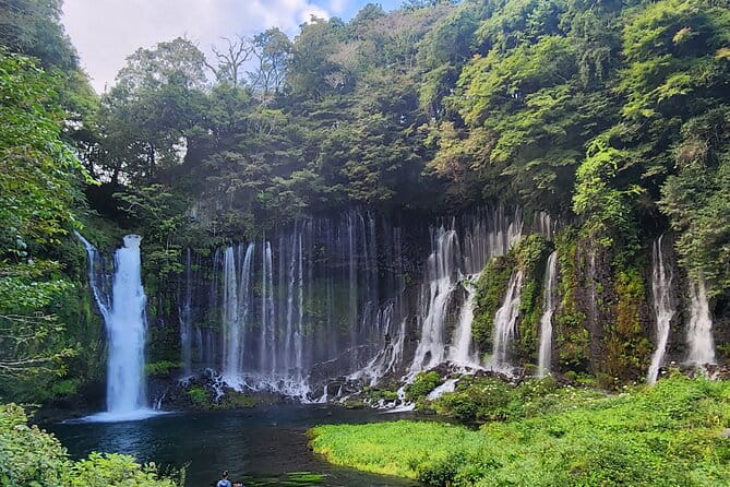 Mt Fuji Day Tour by Car With English Speaking Driver - Visiting Oishi Park