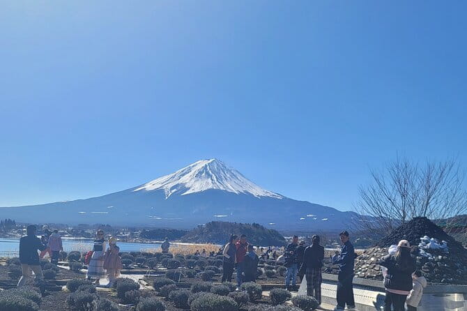 Mt Fuji Day Tour by Car With English Speaking Driver - Discovering Lake Saiko