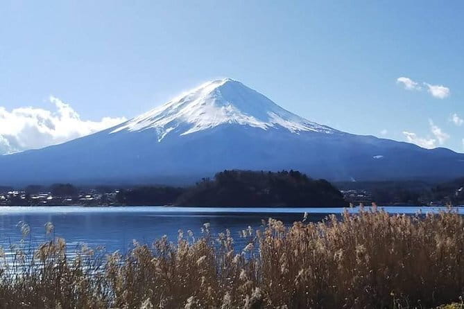 Mt. Fuji Day Tour by Private Minivan With Licensed Tour Guide and Driver - Key Points