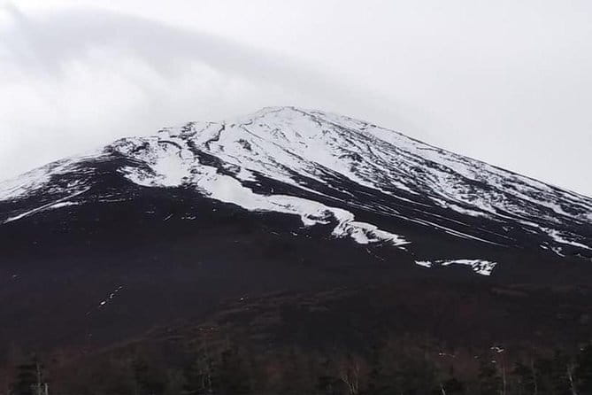 Mt. Fuji Day Tour by Private Minivan With Licensed Tour Guide and Driver - Booking and Payment