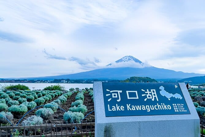 Mt FUJI Day Tour With Private Car and English Speaking Guide - Tour Highlights