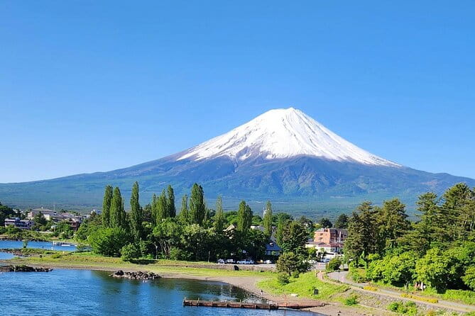 Mt FUJI Day Tour With Private Car and English Speaking Guide - Transportation Options