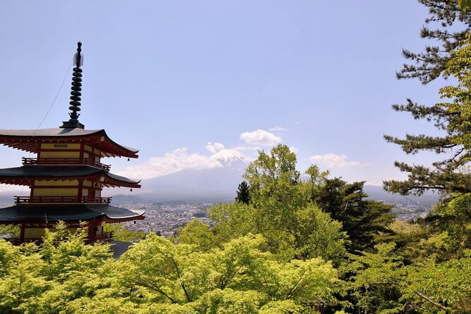 Mt Fuji Day Trip From Tokyo by Car With Photographer Guide - Highlights of the Mt. Fuji Region