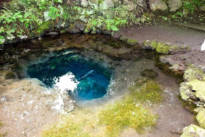 Mt Fuji Day Trip From Tokyo by Car With Photographer Guide - Visiting the Oshino Hakkai Ponds