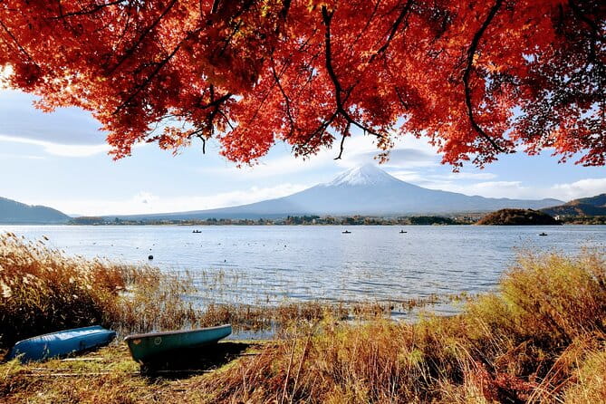 Mt Fuji Day Trip From Tokyo by Car With Photographer Guide - Pricing, Availability, and Booking