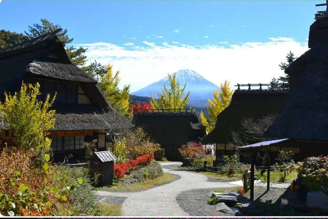 Mt FUJI Exclusive Tour With Private Car / English Speaking Guide - Customer Reviews and Feedback