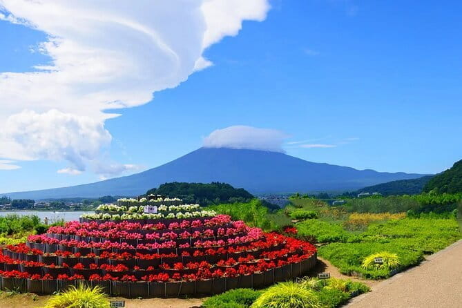 Mt Fuji Exploration Tour With Free Japanese Kusa Mochi From Tokyo - Key Points