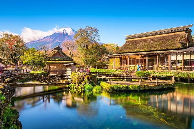 Mt Fuji Exploration Tour With Free Japanese Kusa Mochi From Tokyo - Meeting Points and Transportation Details