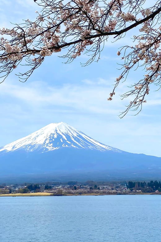 Mt Fuji: Full Day Private Tour From Tokyo by Luxury Vehicle - Exploring Natures Wonders