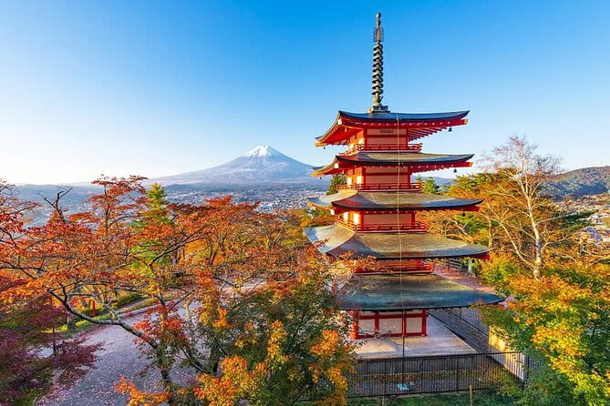 Mt Fuji Gotemba Outlet and Hot Springs Tour From Tokyo - Meeting Point and Transportation Information