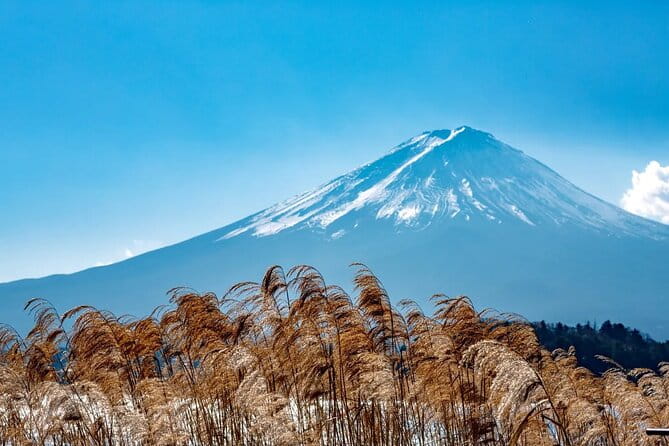 Mt Fuji Gotemba Outlet and Hot Springs Tour From Tokyo - Guide and Tour Highlights