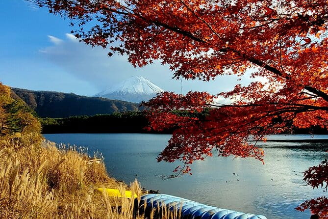 Mt. Fuji Guided Private Tour GREEN NUMBER PLATES - Accessibility and Group Participation