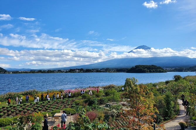 Mt. Fuji Guided Private Tour GREEN NUMBER PLATES - Exploring Mt. Fuji: Highlights of the Tour