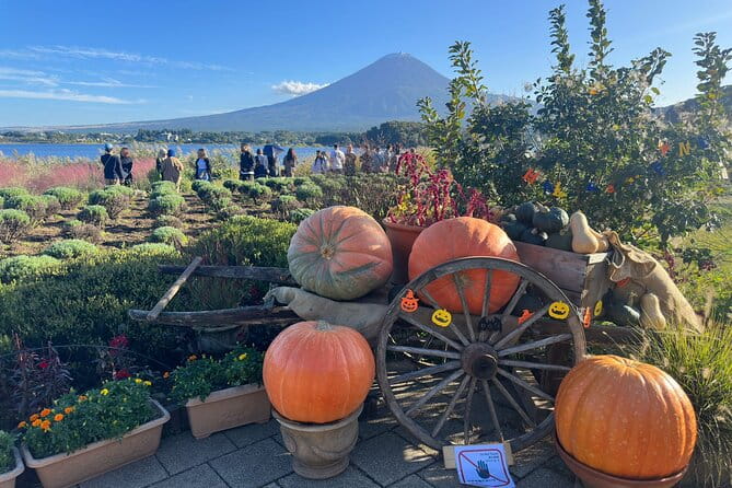 Mt. Fuji & Hakone Cherry Blossom Private One Day Tour - Accessibility and Group Considerations