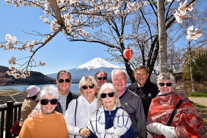 Mt. Fuji & Hakone Day Tour From Tokyo by Car With JP Local Guide - Pickup and Transportation Details