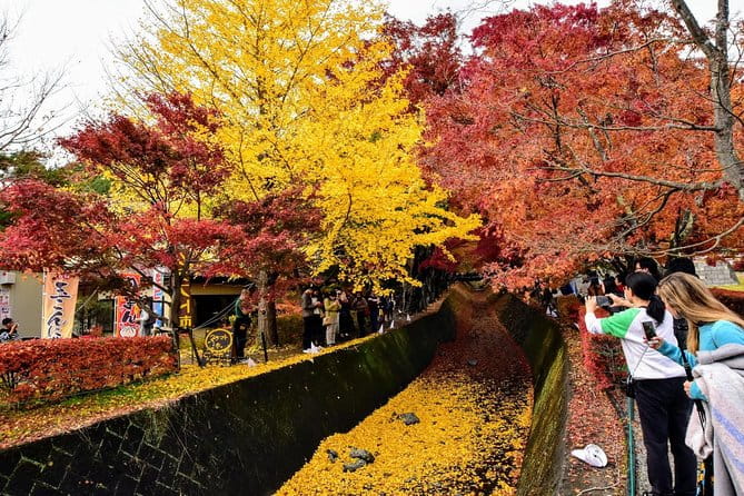 Mt. Fuji & Hakone Day Tour From Tokyo by Car With JP Local Guide - Accessibility Options