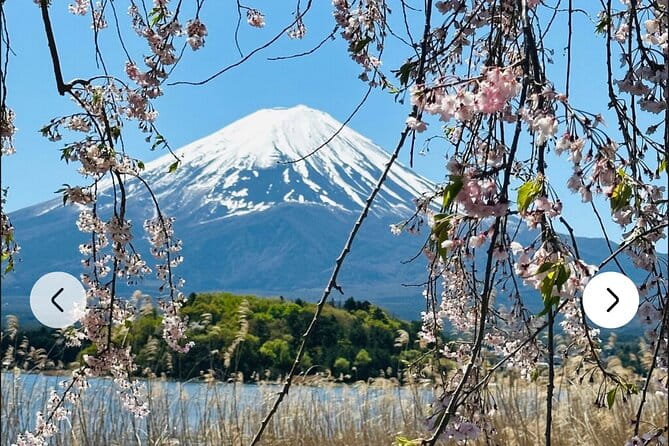 Mt. Fuji, Hakone Full-Day Private Tour With English Driver Guide - Pricing and Booking