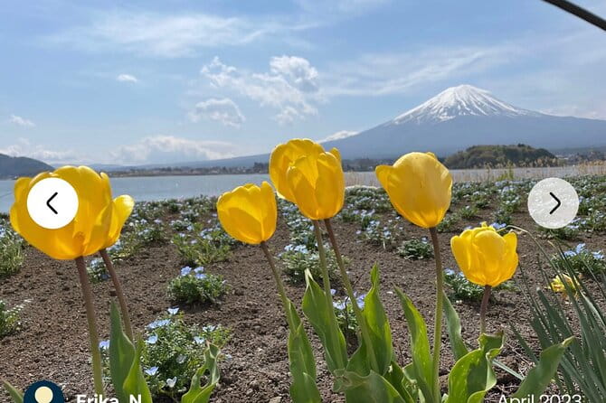 Mt. Fuji, Hakone Full-Day Private Tour With English Driver Guide - Tour Itinerary Flexibility