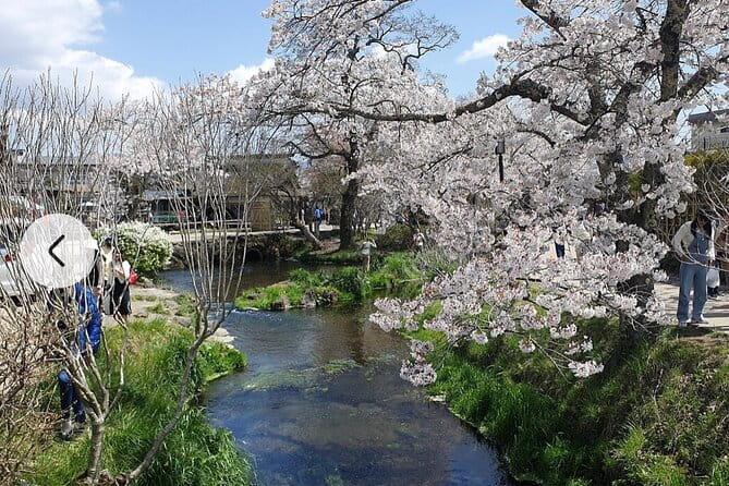 Mt. Fuji, Hakone Full-Day Private Tour With English Driver Guide - Suggested Pickup Time