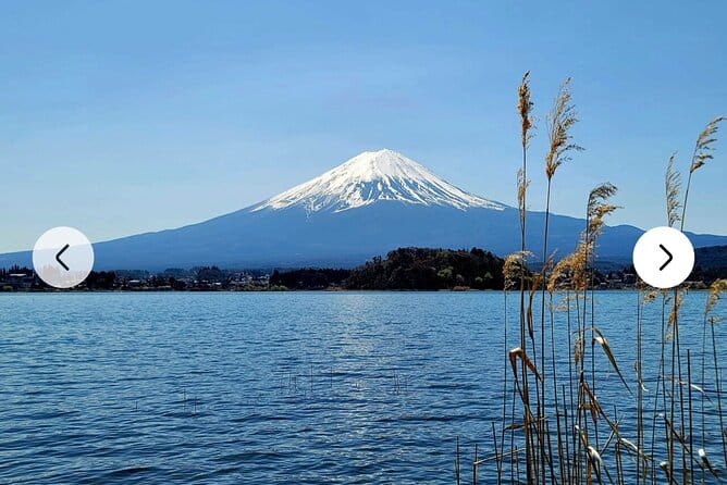 Mt. Fuji, Hakone Full-Day Private Tour With English Driver Guide - Additional Details