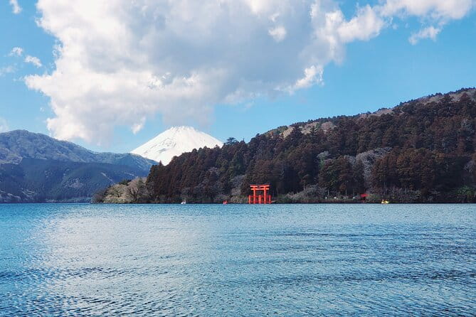 Mt. Fuji & Hakone Guided Private Tour GREEN NUMBER PLATES - Key Points