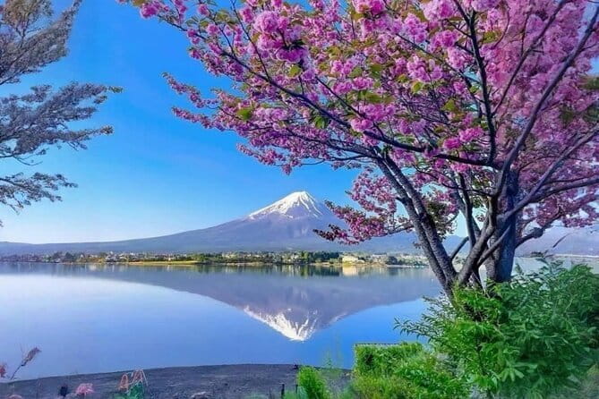 Mt Fuji & Hakone Private Day Tour W/ English Speaking Guide - Key Points