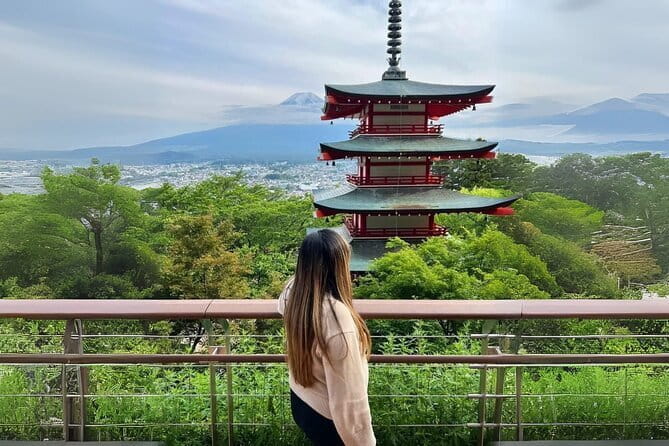 Mt Fuji & Hakone Private Day Tour W/ English Speaking Guide - Inclusions and Transportation