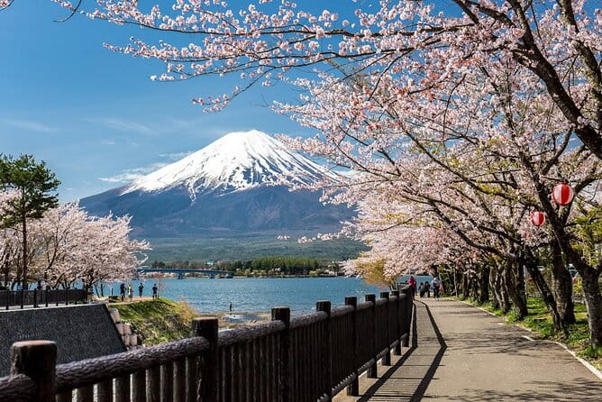 Mt Fuji, Hakone Private Tour by Car Pickup From Tokyo - Accessibility Features for All Travelers