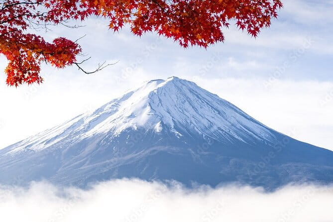 Mt Fuji, Hakone Private Tour by Car Pickup From Tokyo - Customer Reviews and Ratings