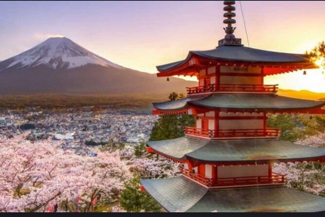 Mt Fuji/Hakone Private Tour From Tokyo/Yokohama - Key Points