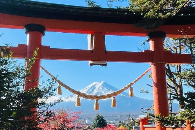 Mt Fuji/Hakone Private Tour From Tokyo/Yokohama - Inclusions