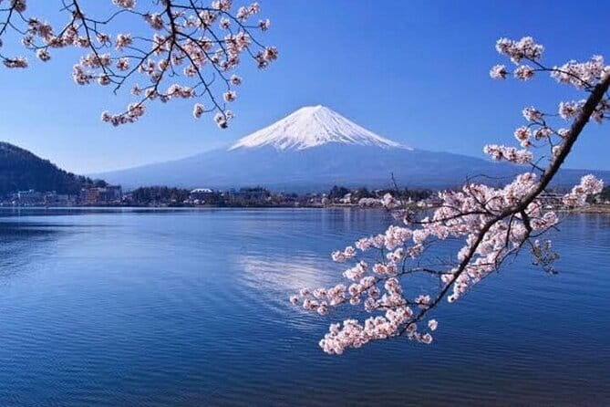Mt Fuji/Hakone Private Tour From Tokyo/Yokohama - Pickup Details