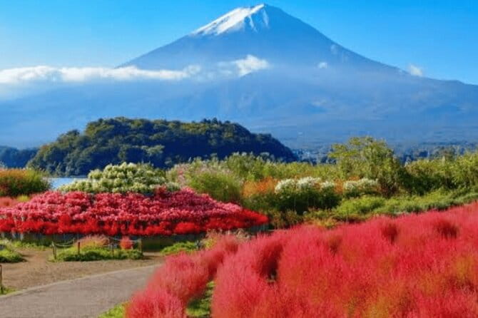 Mt Fuji/Hakone Private Tour From Tokyo/Yokohama - Booking Confirmation