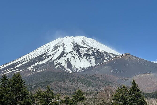 Mt. Fuji & Hakone Private Tour With English-Speaking Guide - Health and Accessibility Considerations