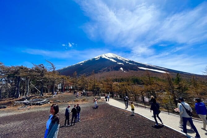 Mt. Fuji & Hakone Private Tour With English-Speaking Guide - What to Wear and Bring