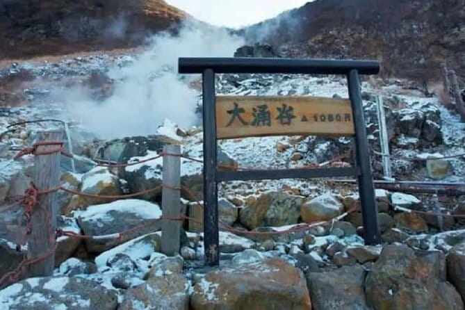 Mt. Fuji Hakone Ropeway and Oshino Hakkai Day Tour - Booking Information