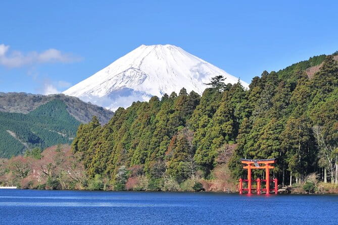 Mt. Fuji Hakone Ropeway and Oshino Hakkai Day Tour - Additional Information