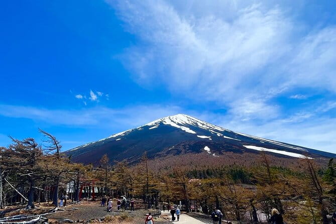 Mt. Fuji & Hakone Tour Tokyo Hotel Pick-Up by Grayline - Pick-up and Meeting Information