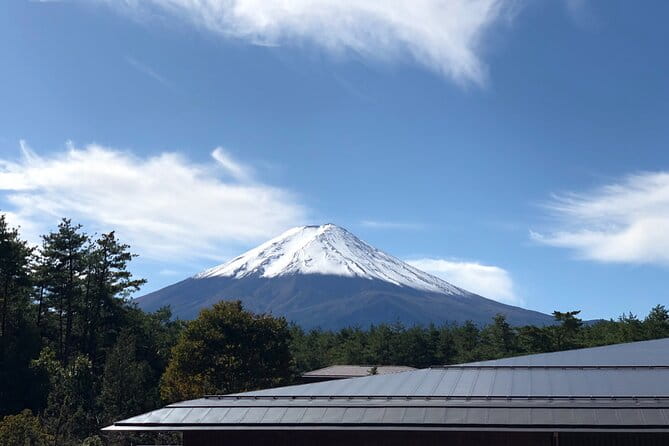 Mt. Fuji & Hakone Tour Tokyo Hotel Pick-Up by Grayline - Health and Safety Guidelines