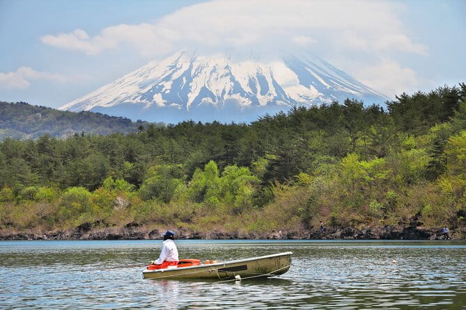 Mt. Fuji Highlight Photo Spots One Day Tour From Tokyo - Accessibility