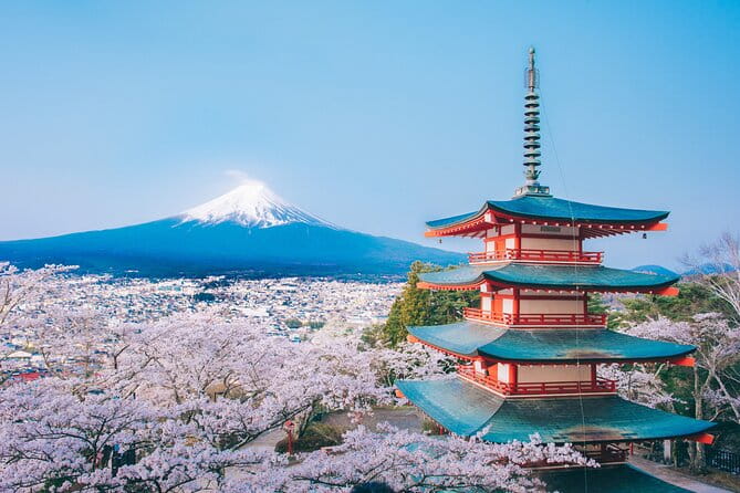 Mt. Fuji Highlight Photo Spots One Day Tour From Tokyo - Booking Information