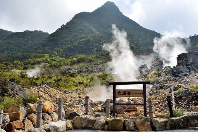 Mt Fuji Kawaguchi/Hakone/Yokohama Tokyo Customize Private Car - Accessibility Features