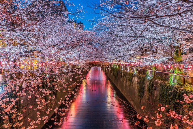 Mt Fuji Kawaguchi/Hakone/Yokohama Tokyo Customize Private Car - Cancellation Policy